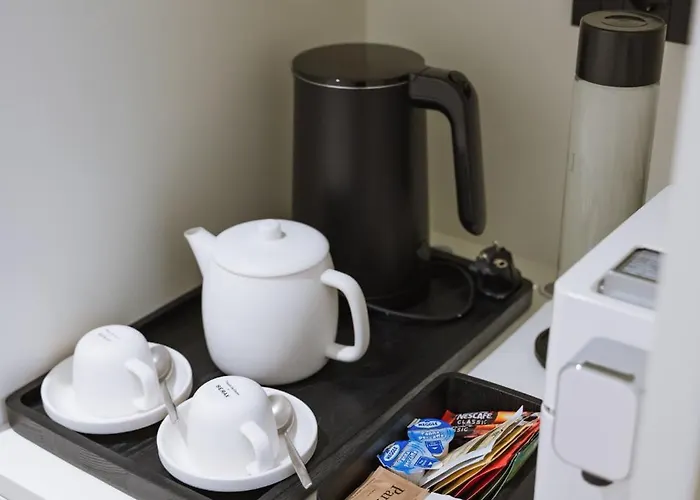 Parisii Bocca Di Leone 88 住宿加早餐酒店 4*